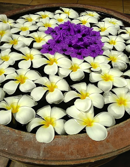 タイの花々 タイで見かけた綺麗な花々 定年退職あぶはち取らず