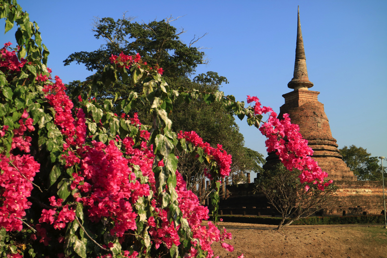 タイ スコータイ ワット サシー 歴史公園 世界遺産