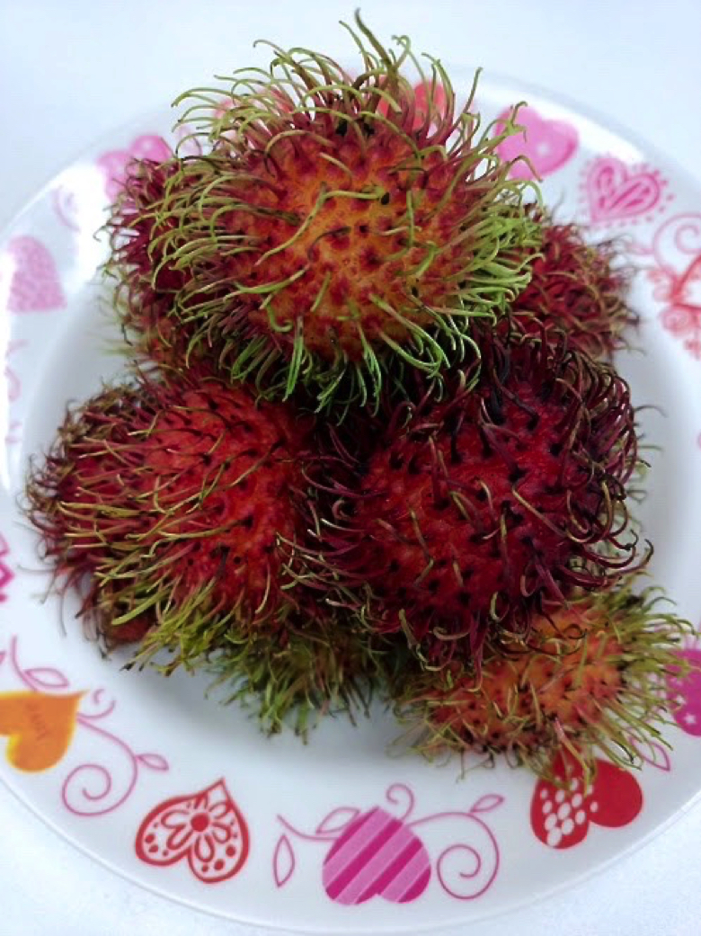 タイ フルーツ 南国 果物 ランブータン