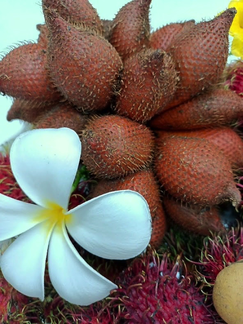 タイ フルーツ 南国 果物 サラ