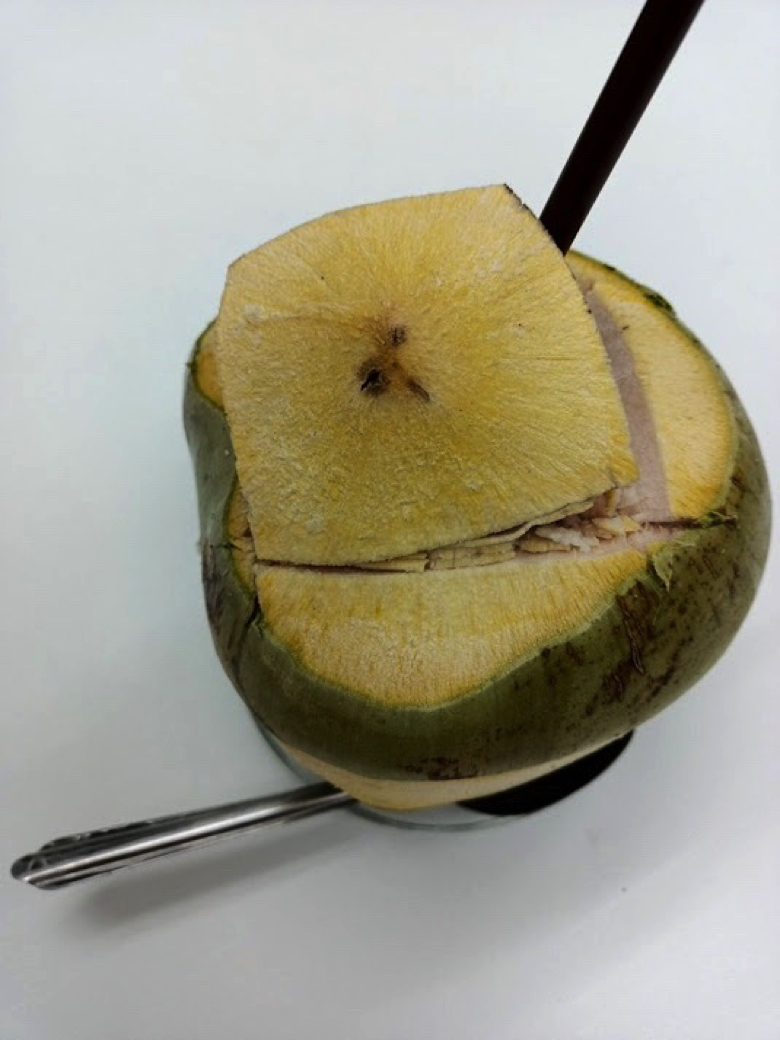 タイ フルーツ 南国 果物 ココナッツ