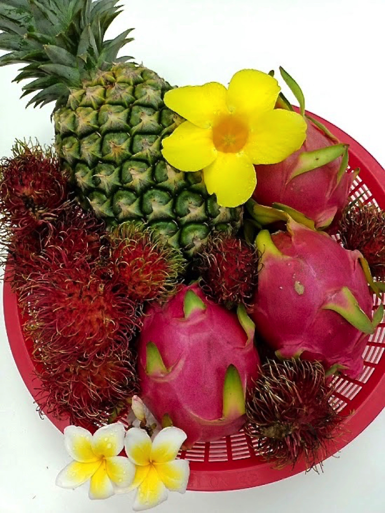 タイ フルーツ 南国 果物
