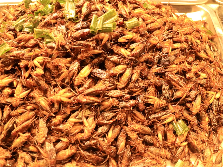 タイ シラチャ ロイクラトン祭り 昆虫食
