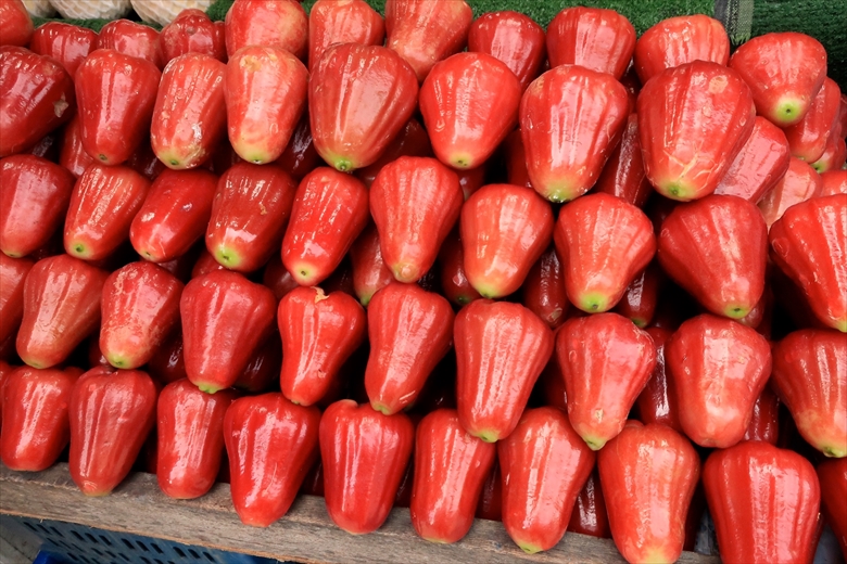チョンプー タイ 南国 フルーツ 果物