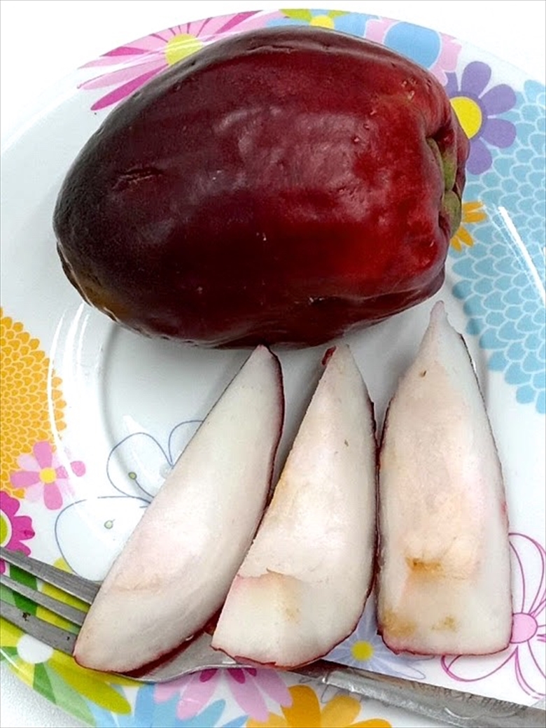 チョンプーマミヤオ タイ 南国 フルーツ 果物 タイ語 珍しい 