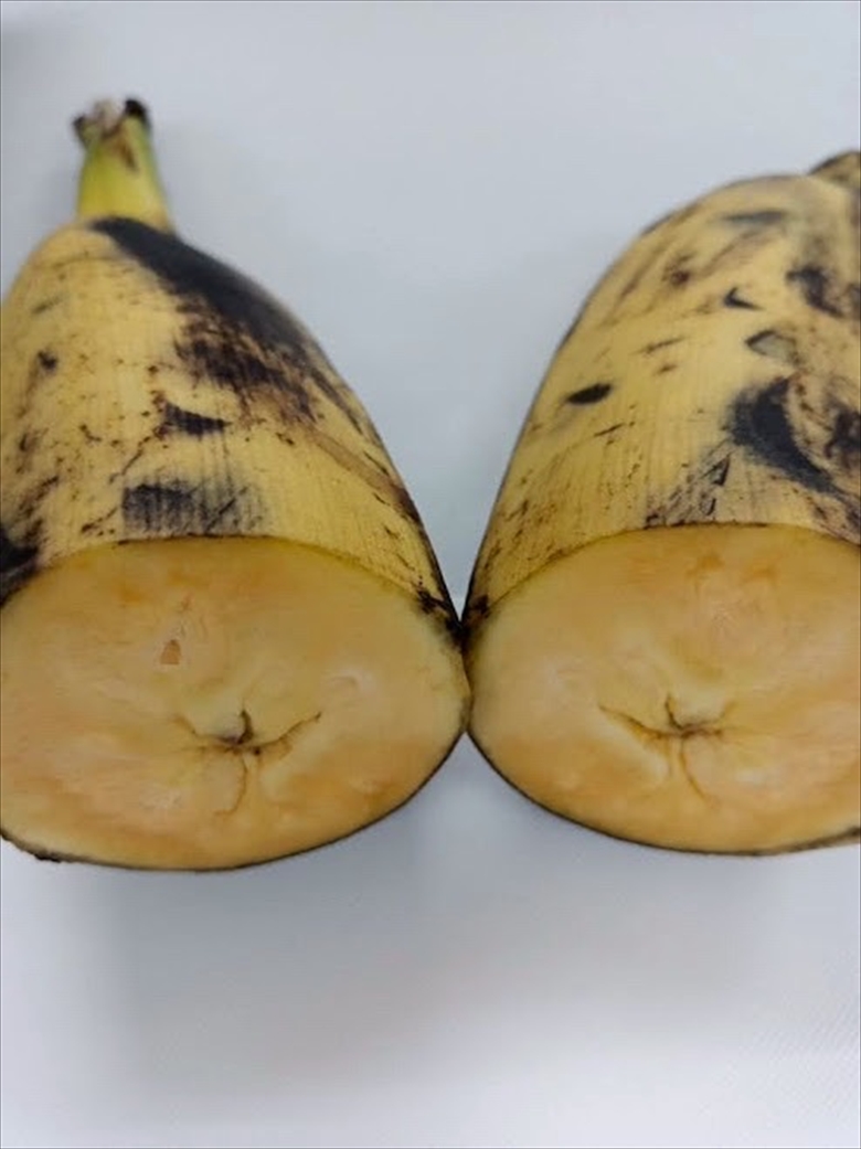 巨大バナナ タイ 南国 フルーツ 果物 タイ語 珍しい 